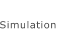 Simulation